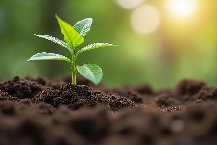 Top Environmental Jobs in Nigeria: Explore Opportunities and Career Paths