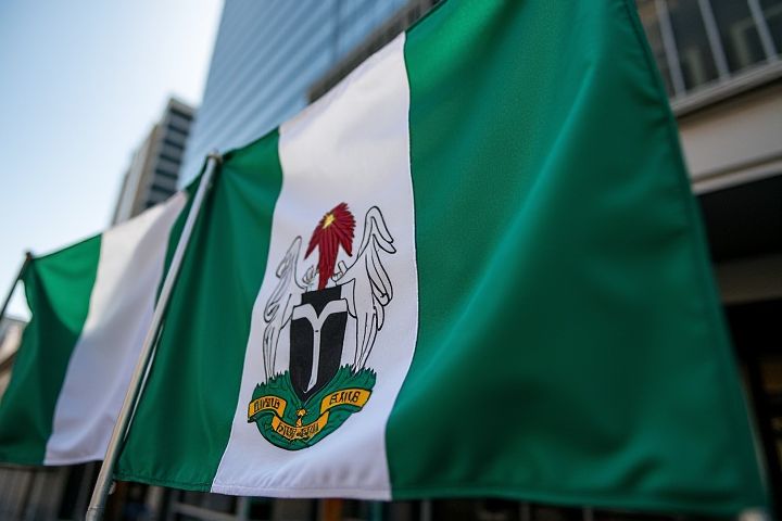 Nigerian Stock Exchange Guide: Trends, Strategies, and Investment Insights