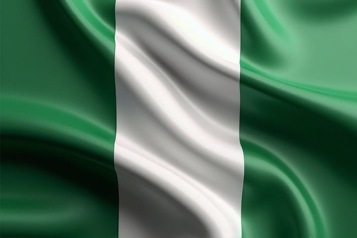 Nigeria's 2025 Budget Projection: Key Figures and Policy Priorities