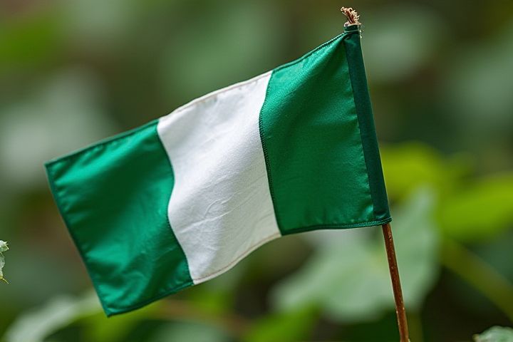 Complete Guide to Nigeria's Postal Codes and How to Find Yours